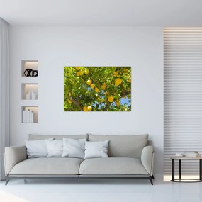 Obraz - Citrónovník (90x60 cm)