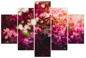 Obraz kvetov rozkvitnutého kríku (150x105 cm)