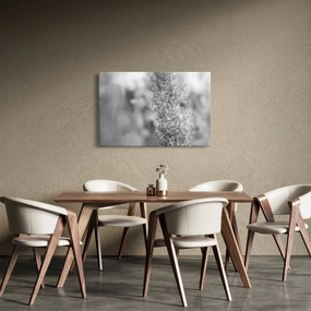 Obraz - Boho pampas grass (90x60 cm)