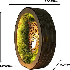 Strom života - svietiaci machový obraz s LED | SEDO: HDF - Orech 20 cm 4792-115233 LED0633