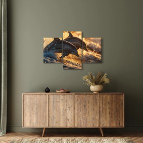 Obraz - Delfíny (90x60 cm)