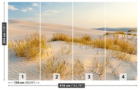 Fototapeta Vliesová Bunesk dunes 250x104 cm