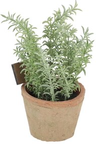 Umelá rastlina (výška 21,5 cm) Thyme – Esschert Design