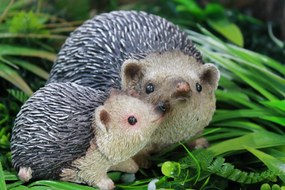 Hnedí ježkovia so sivými pichliačmi 18cm