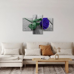 Obraz - Modrá ruža so zelenou stonkou (90x60 cm)