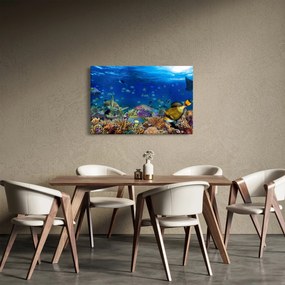 Obraz - Oceán (90x60 cm)