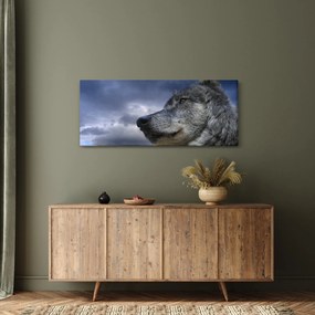 Obraz - Vlčia hlava (120x50 cm)