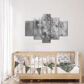 Obraz - Boho pampas grass (150x105 cm)