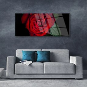 Obraz na akrylátovom skle Ruže 125x50 cm