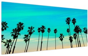 Obraz - Kalifornia (120x50 cm)