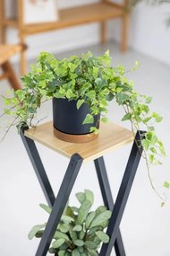 Stojan na kvety NEXUS