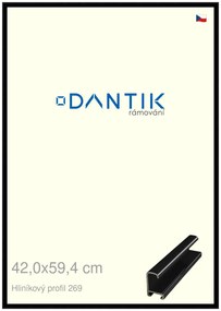 DANTIK rám na obraz 42x59,4 | ALU Černá lesklá (Plexi Čiré)