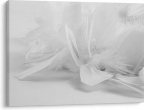 Obraz - Perie (70x50 cm)