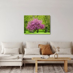 Sklenený obraz rozkvitnutého stromu na lúke (70x50 cm)