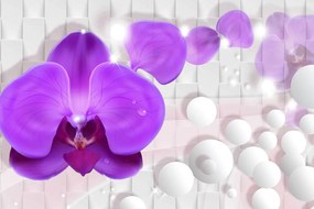 Obraz orchidea na abstraktnom pozadí Varianta: 100x50