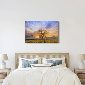Obraz - Krajina so slnečnicami (90x60 cm)