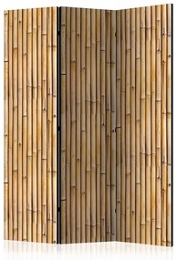 Paraván - Amazonian Wall [Room Dividers] Veľkosť: 135x172, Verzia: Akustický