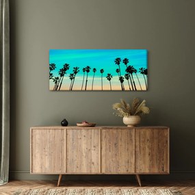 Obraz - Kalifornia (120x50 cm)