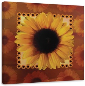 Obraz na plátně Slunečnicové květy žluté - 40x40 cm