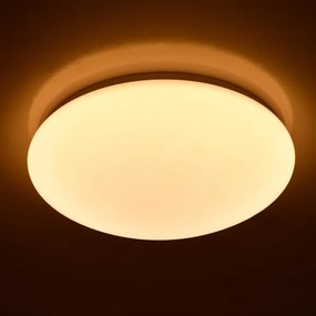 Brilagi - LED Stmievateľné stropné svietidlo OPAL LED/24W/230V 3000/4000/6500K+ DO