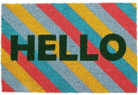 Kokosová rohožka Hello colour, 39 x 59 cm