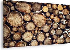 Obraz - Drevo v snehu (90x60 cm)