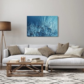 Obraz - Kvapky rosy (90x60 cm)
