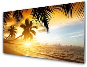 Skleneny obraz Pláž palma more krajina 120x60 cm