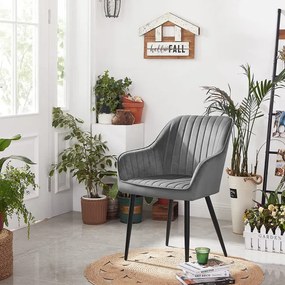 Set dvoch jedálenských stoličiek LDC087G04 (2 ks)