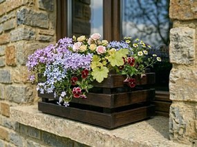 AMADEA Drevený obal na dva kvetináče - tmavý, 32x17x15cm, drevený kvetináč Český výrobok