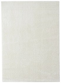 Koberce Breno Kusový koberec DOLCE VITA 01/WWW, biela,140 x 200 cm
