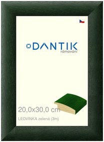 DANTIK rám na obraz 20x30 | LEDVINKA zelená (Sklo Čiré)