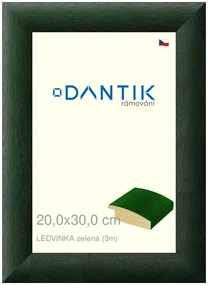 DANTIK rám na obraz 20x30 | LEDVINKA zelená (Sklo Čiré)