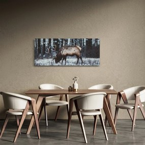 Obraz - jeleň v zime (120x50 cm)