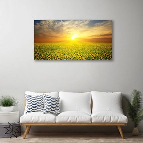 Obraz Canvas Slnko lúka slnečnica 140x70 cm