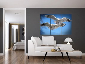 Obraz do bytu - vtáky