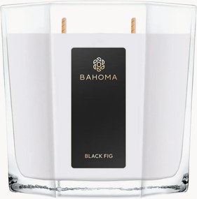 Vonná sviečka Black Fig (Jasmine, Fig, Sandalwood)