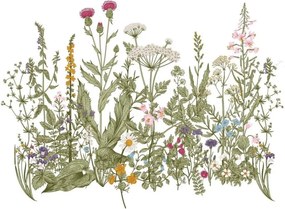 Samolepka do detskej izby farby lúky S