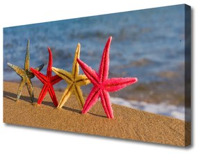 Obraz na plátne Pláž hviezdice umenie 100x50 cm