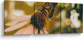 Obraz motýľa na kvetine (s hodinami) (90x30 cm)