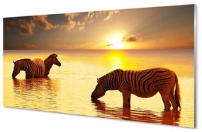 Sklenený obraz Zebry voda západ slnka 125x50 cm