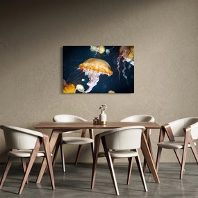 Obraz medúzy (90x60 cm)