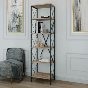 Sconto Regál SUADIYE borovica atlantská/čierna