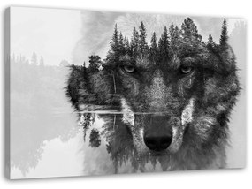 Gario Obraz na plátne Čierny vlk na pozadí lesa a jazera abstraktné Rozmery: 60 x 40 cm