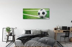 Obraz plexi Futbalový trávnik 120x60 cm