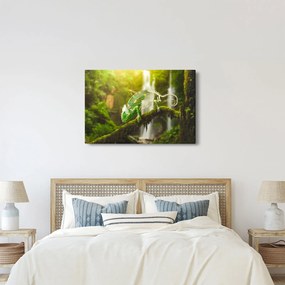 Obraz chameleóna (90x60 cm)