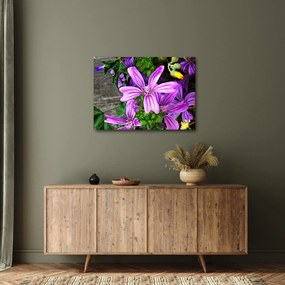 Obraz - lúčne kvety (70x50 cm)