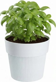 Sada 4 ks květináčů Silva Line bílá