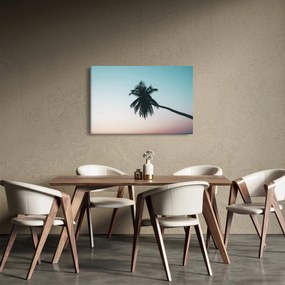 Obraz - Palma na Bali (90x60 cm)