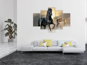 Obraz - Kone (150x105 cm)